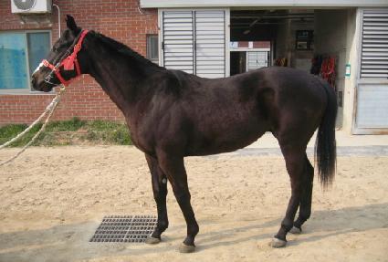 ��ũ�׸��� ����