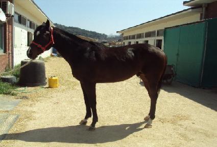 ����� ����