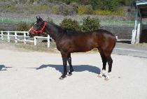 �������� (SINHAN JEIL) ����