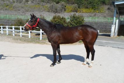 �������� ����