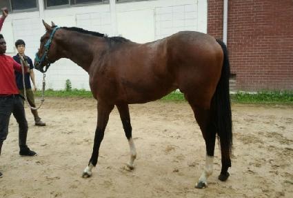 �ʵ彺ķ�� ����