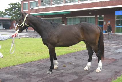 ���ߺ��� ����