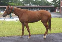 ��翩�� (DAMYANG YEOWANG) ����