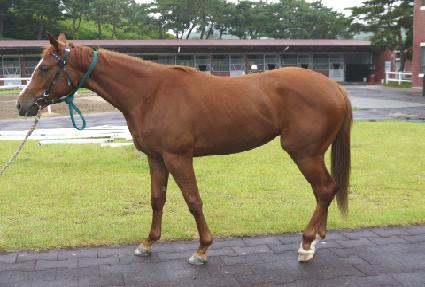 ��翩�� ����