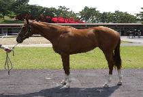 ��¯���� (EOLJJANG BULPAE) ����