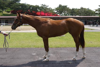 ��¯���� ����