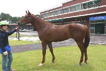 õ�ϸ��� (CHEONHA MAKGANG) ����