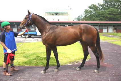 ũ�ν��� ����