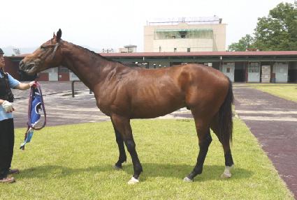 �����Ӿ��̿�Ʈ ����