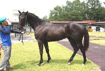 ��׷��� (BE GRAND) ����