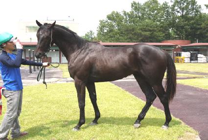 ��׷��� ����