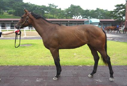 �������� ����