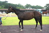 �������� (MAKGANG DOKSA) ����