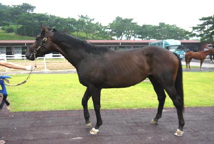 �������� ����