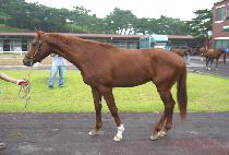 õ�ϴ���� (CHEONHA DAEJANGBU) ����