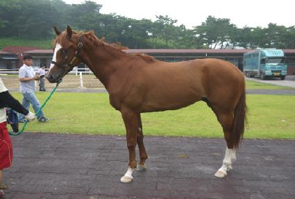 ��ç���� ����