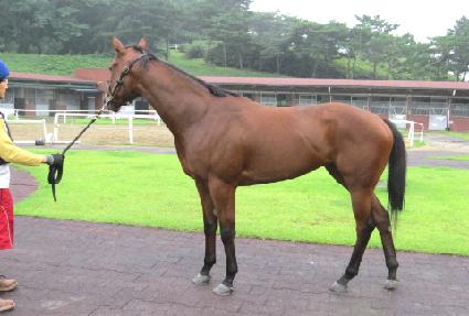 �����ǿ��� ����