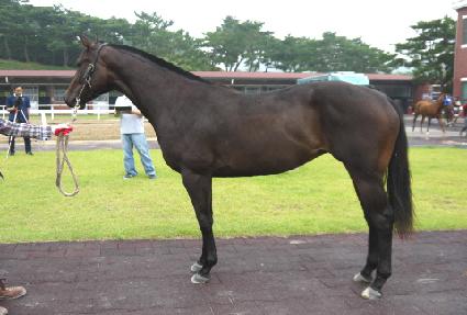 ���ƽ�ôϾ� ����