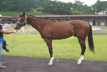 ������ġ (MYEONGGA TONGCHI) ����