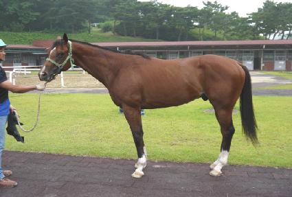 ������ġ ����