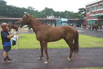 ����Ĺ (GALACAT) ����