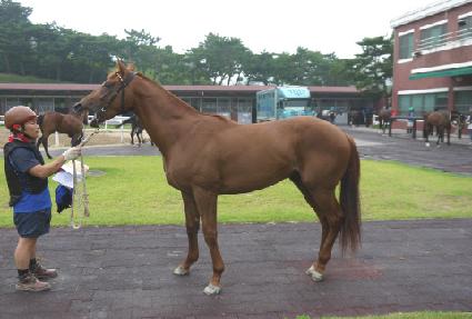 ����Ĺ ����