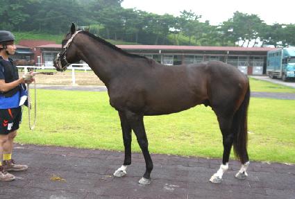 �θ���Ʈ ����