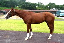 īī�ٹ� (CAR CAR BABA) ����