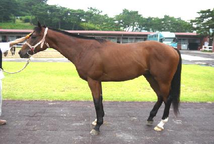 �������丮 ����