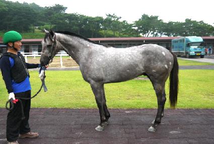 �ڵ忡�̽� ����