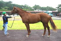 ��â��ȣ (SEOCHANG BIHO) ����