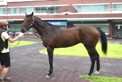 ���׳ʸ� ����