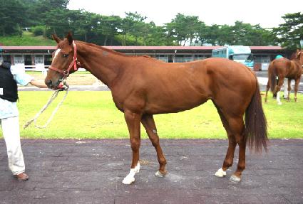 �ұݲ� ����