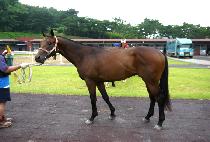 õ������ (CHEONNYEON YUSAN) ����