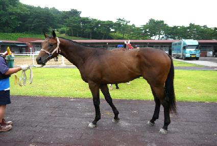 õ������ ����