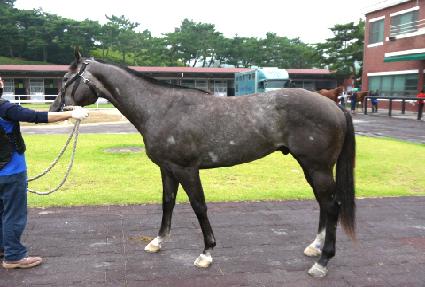 �׷���ī���� ����