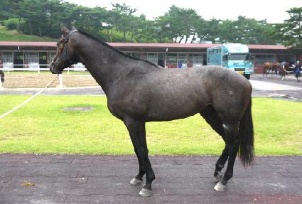 ���̼� ����