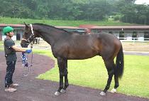 �Ƹ����극�� (ARGO BRAIN) ����