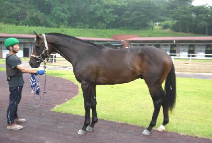 �Ƹ����극�� ����