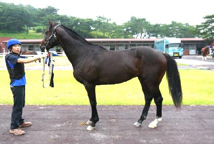 �մ� ����