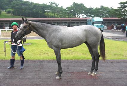 ������ ����