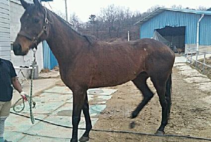 ����η��� ����