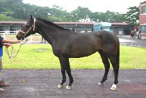 ����Ʈ�� (BEST RUN) ����