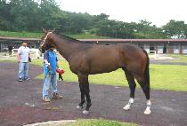 �������� (GANGSEONG SIMJANG) ����