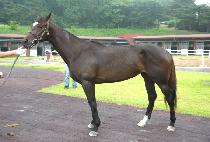 ��Ƽ���� (THIRTY STEP) ����