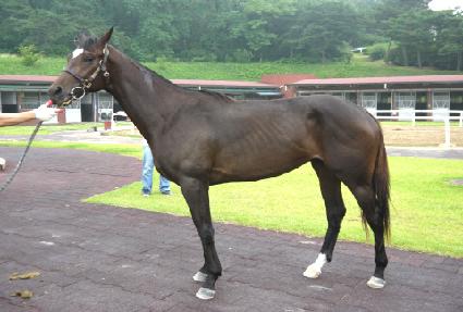 ��Ƽ���� ����