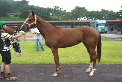 �Ѷ����� ����