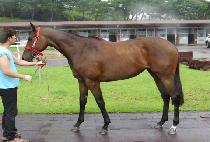 ������Ƽ (TOP PRETTY) ����