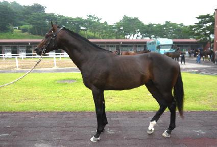 �ܱ�õ�� ����