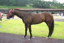 �ǰ� (GEONGAK) ����